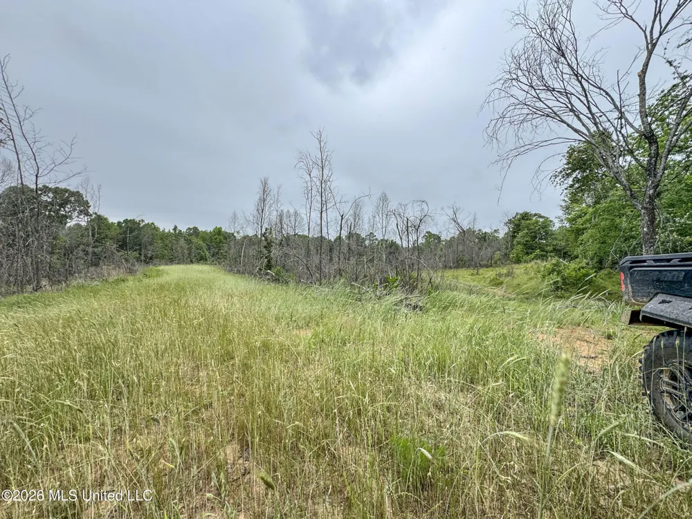 Wayne Massie Road Como, MS 38619