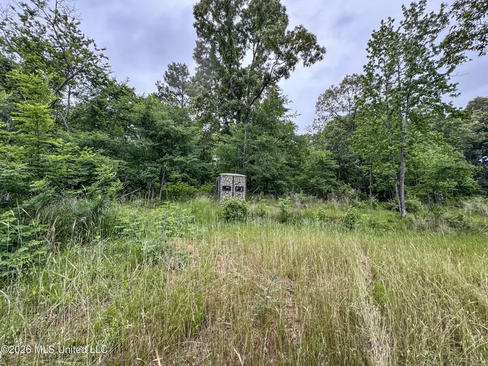 Wayne Massie Road Como, MS 38619