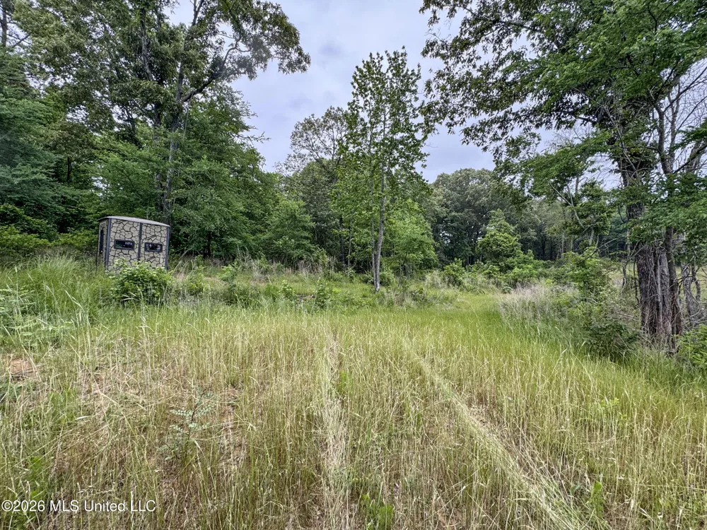 Wayne Massie Road Como, MS 38619