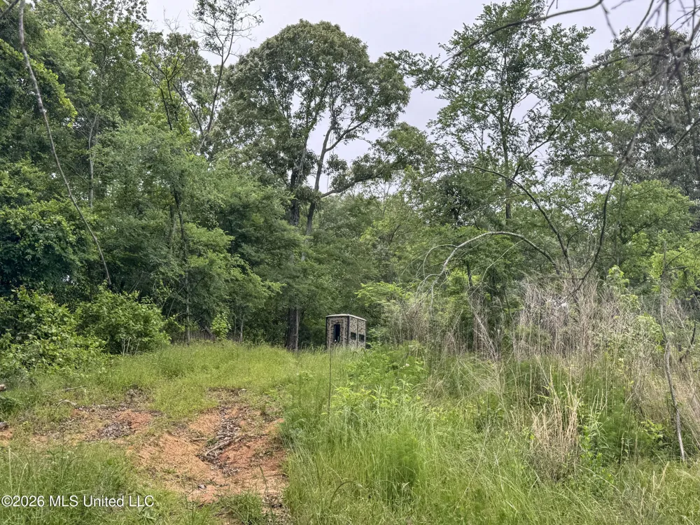 Wayne Massie Road Como, MS 38619