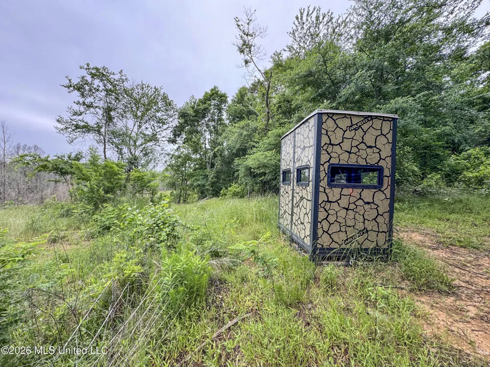 Wayne Massie Road Como, MS 38619