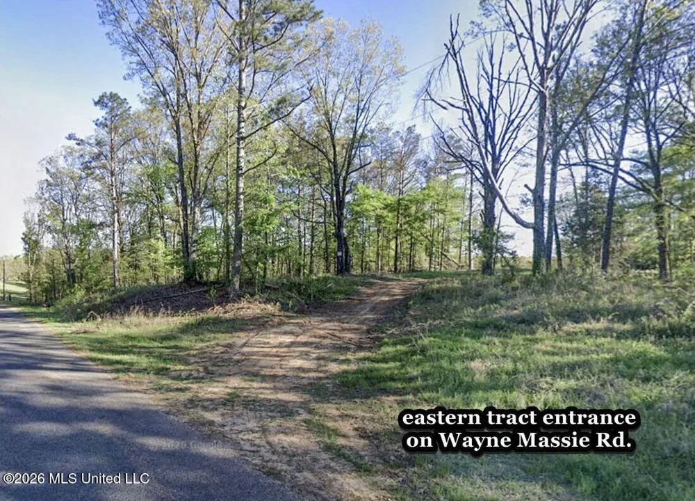 Wayne Massie Road Como, MS 38619