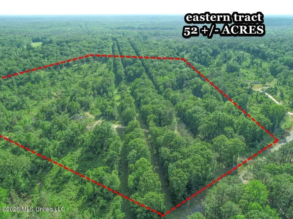 Wayne Massie Road Como, MS 38619