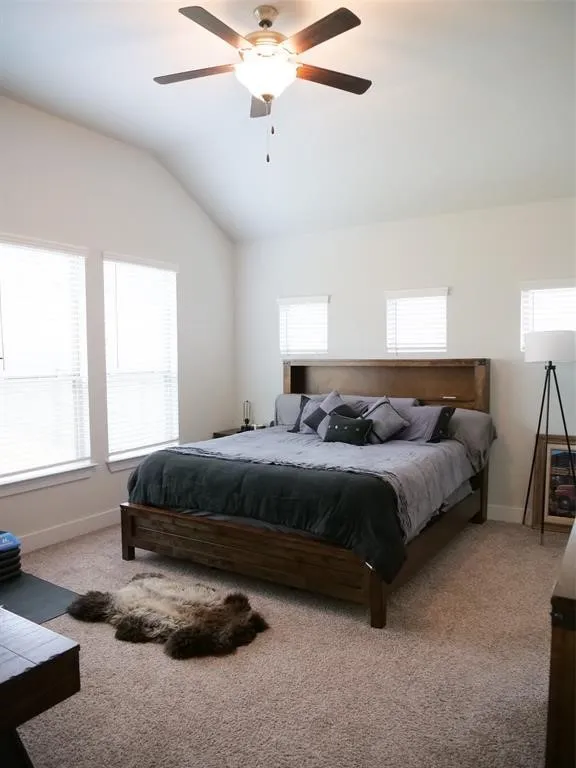 9621 EVENING CANOPY DRIVE Manor, TX 78653