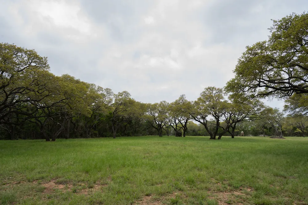 426 Mill Run New Braunfels, TX 78132
