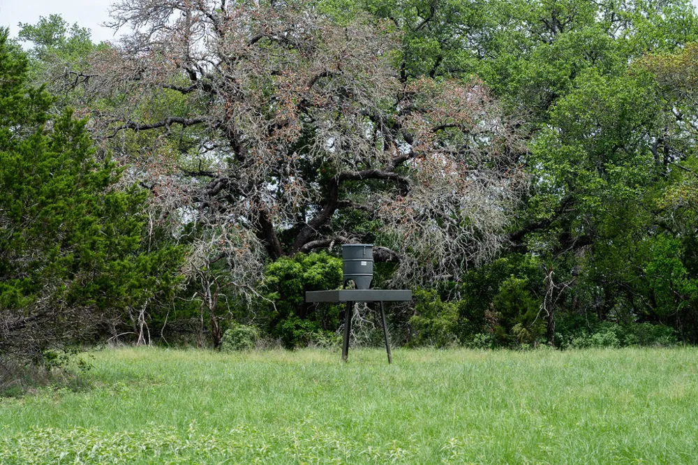 426 Mill Run New Braunfels, TX 78132
