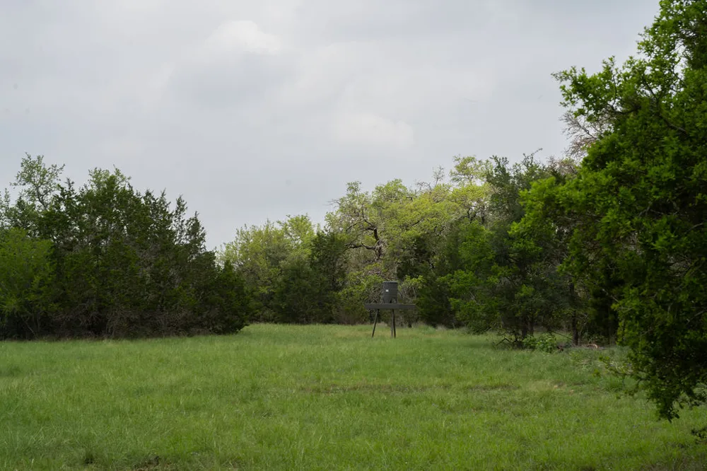 426 Mill Run New Braunfels, TX 78132