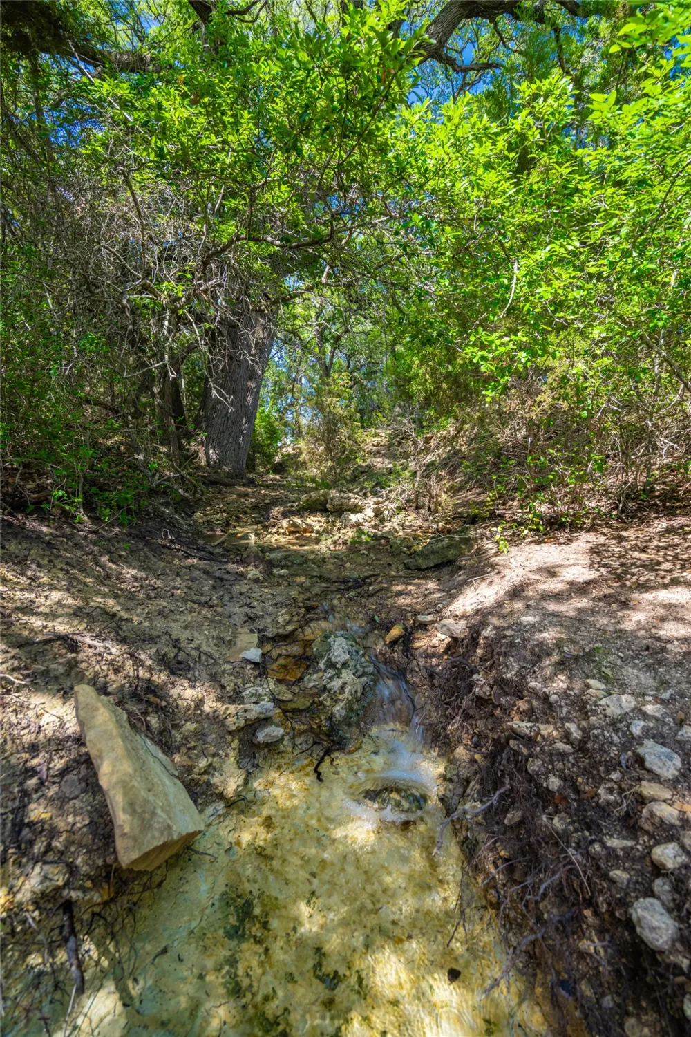9750 RM-243 Bertram, TX 78605