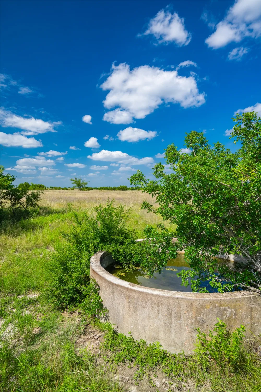 9750 RM-243 Bertram, TX 78605