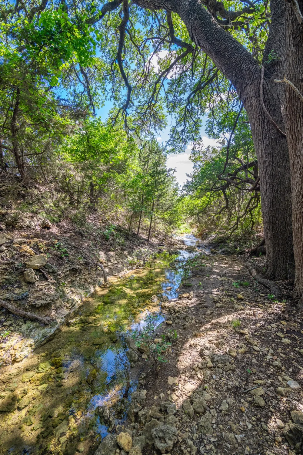 9750 RM-243 Bertram, TX 78605