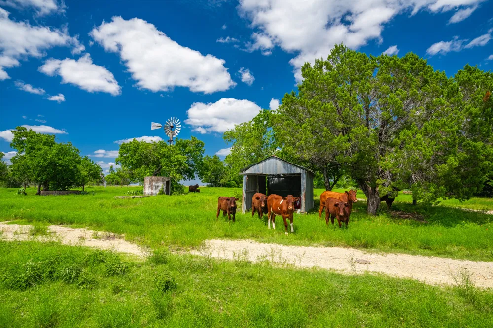 9750 RM-243 Bertram, TX 78605