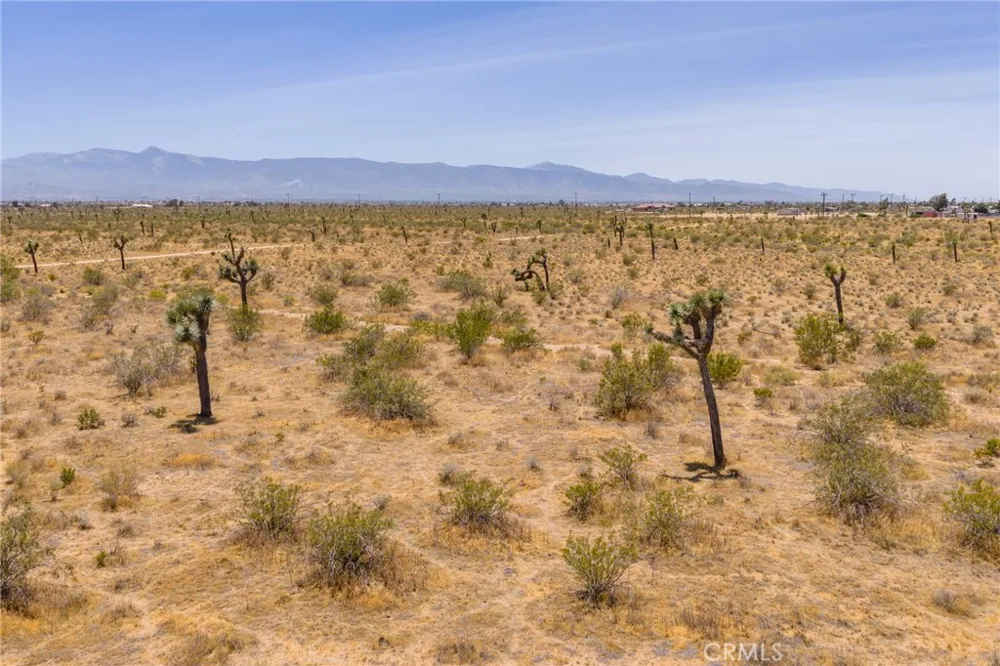 Middleton Road Phelan, CA 92371