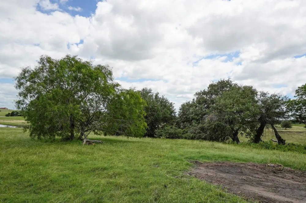 1432 S Knezek Road Flatonia, TX 78941