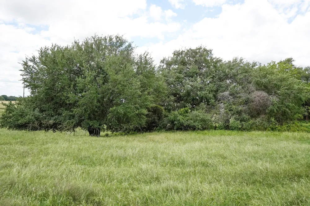 1432 S Knezek Road Flatonia, TX 78941