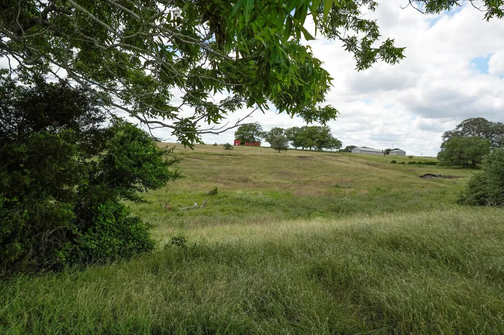 1432 S Knezek Road Flatonia, TX 78941