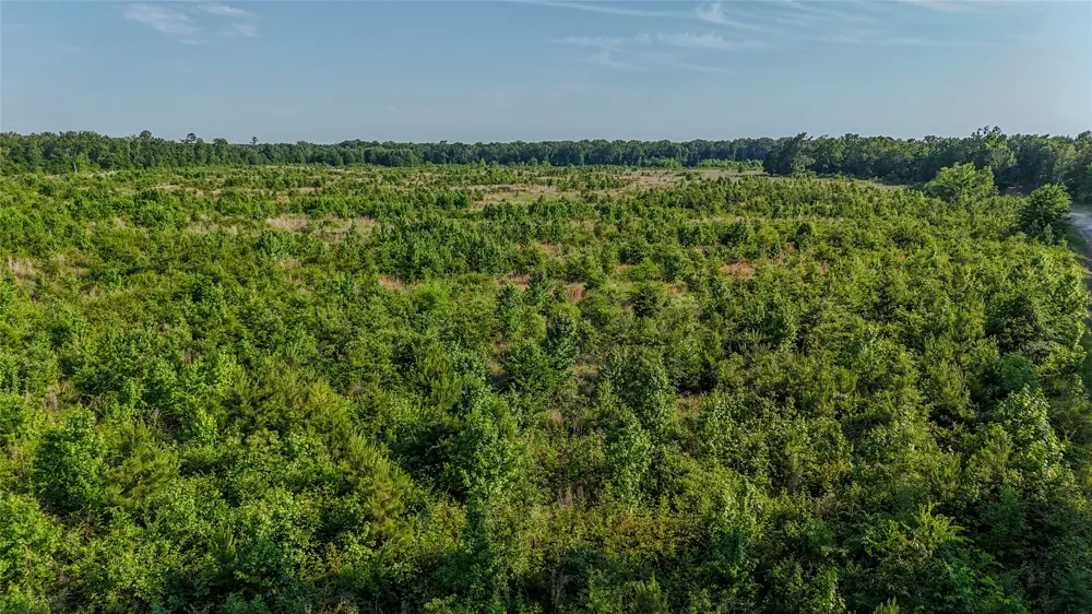 4621 County Road 4621 Clarksville, TX 75550