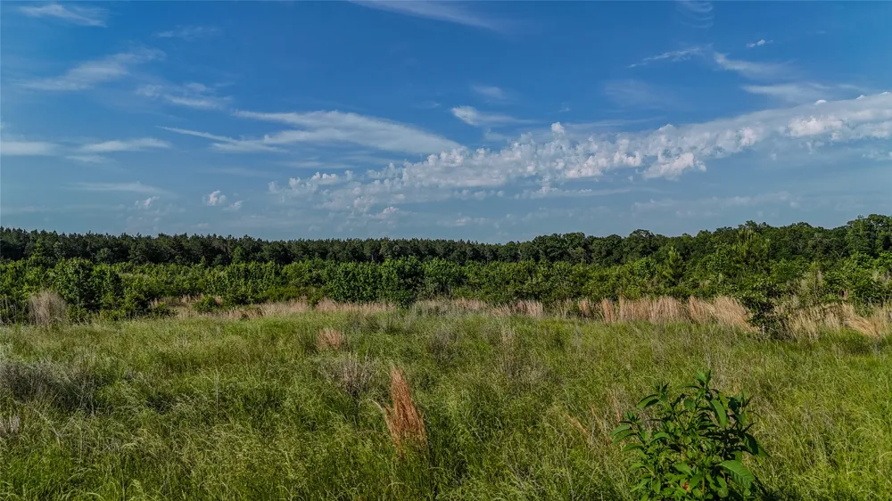 4621 County Road 4621 Clarksville, TX 75550