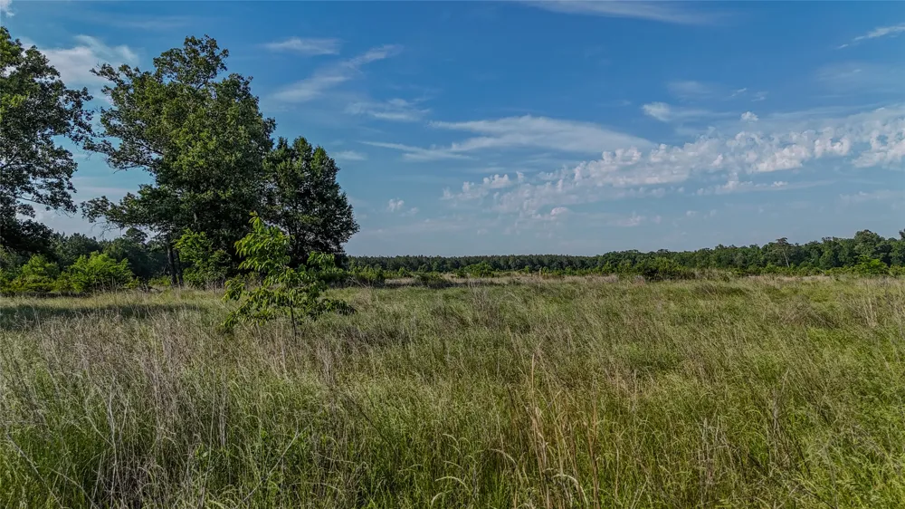 4621 County Road 4621 Clarksville, TX 75550