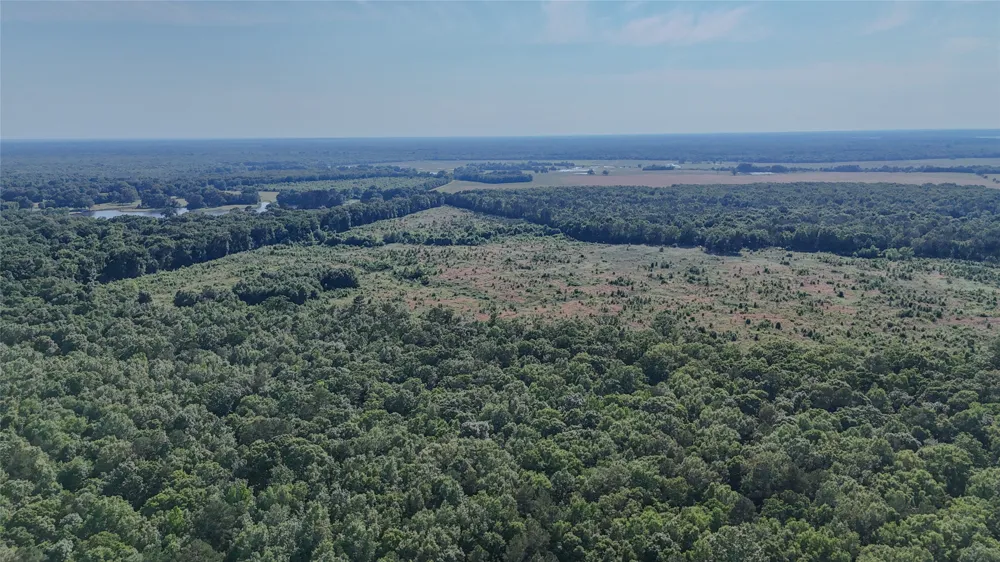 4621 County Road 4621 Clarksville, TX 75550