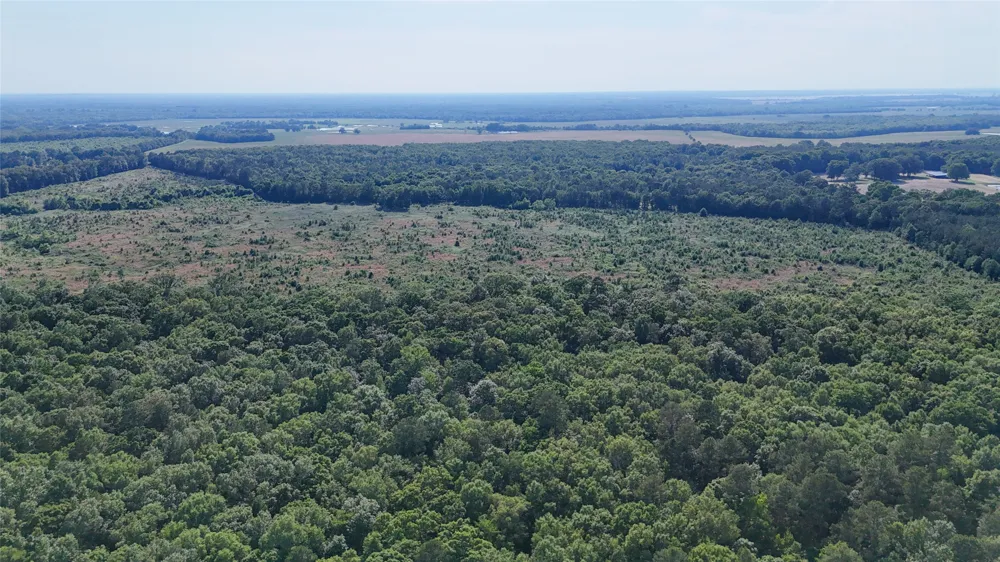 4621 County Road 4621 Clarksville, TX 75550