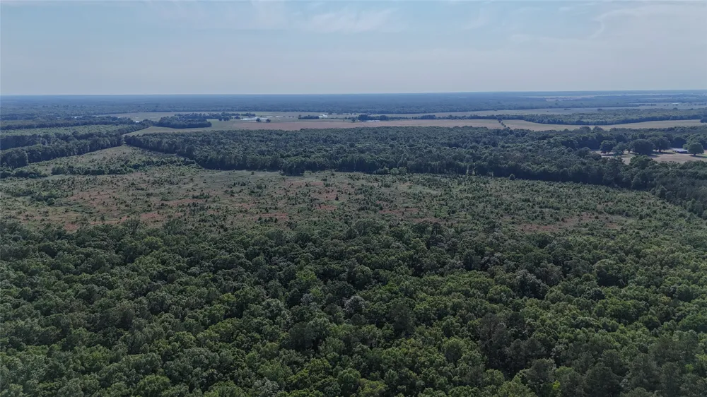 4621 County Road 4621 Clarksville, TX 75550