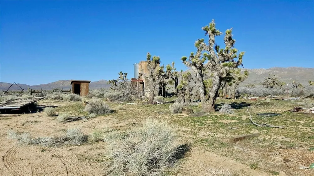 39602 Kelso Valley Weldon, CA 93283