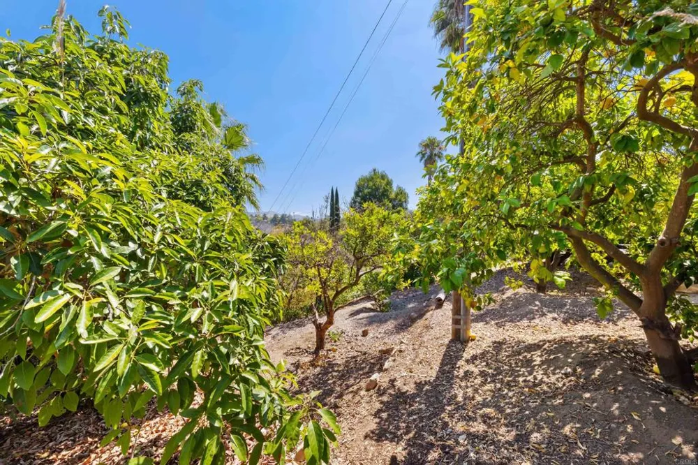 1407 Monte Vista Drive Vista, CA 92084