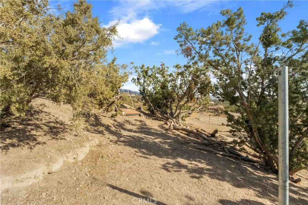 6535 Juniper Crest Road Agua Dulce, CA 91390