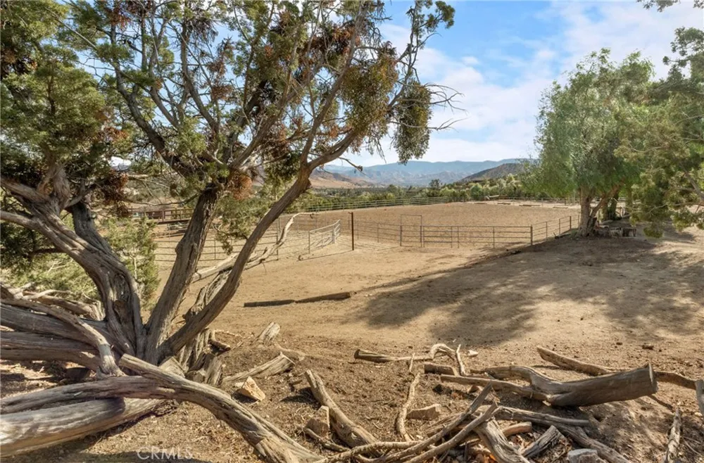 6535 Juniper Crest Road Agua Dulce, CA 91390