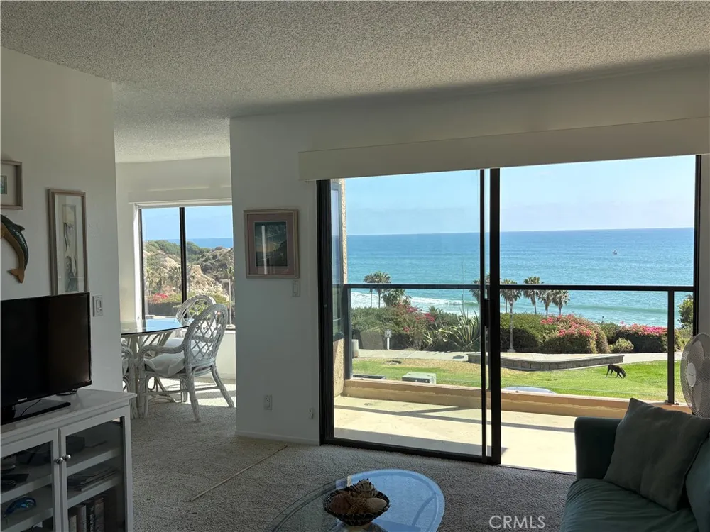 250 Avenida Lobeiro #E San Clemente, CA 92672