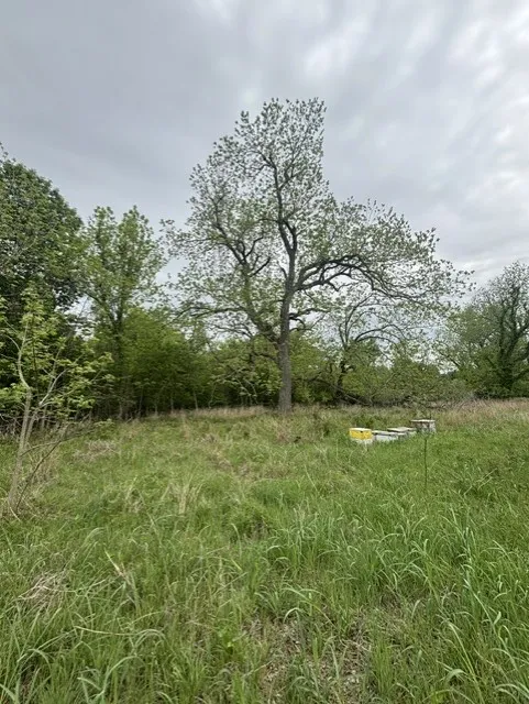 12155 E Travis Street Holland, TX 76534