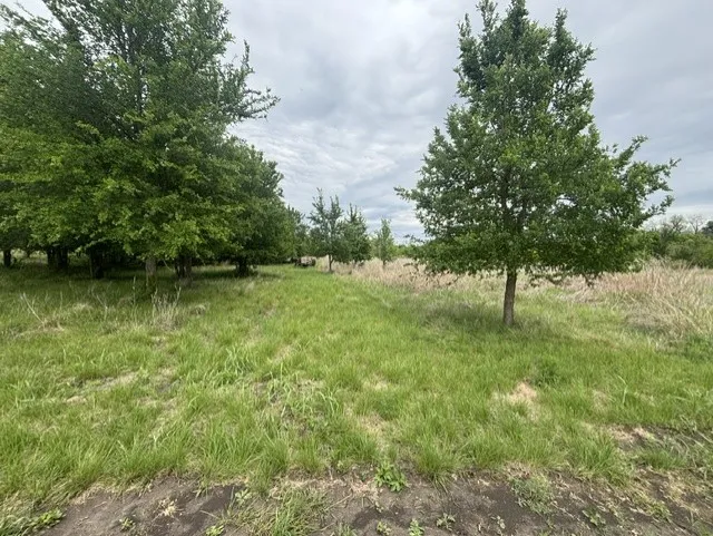 12155 E Travis Street Holland, TX 76534