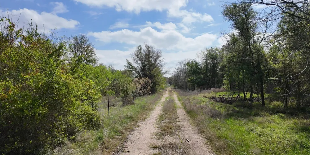 144 CR 219 Cameron, TX 76520