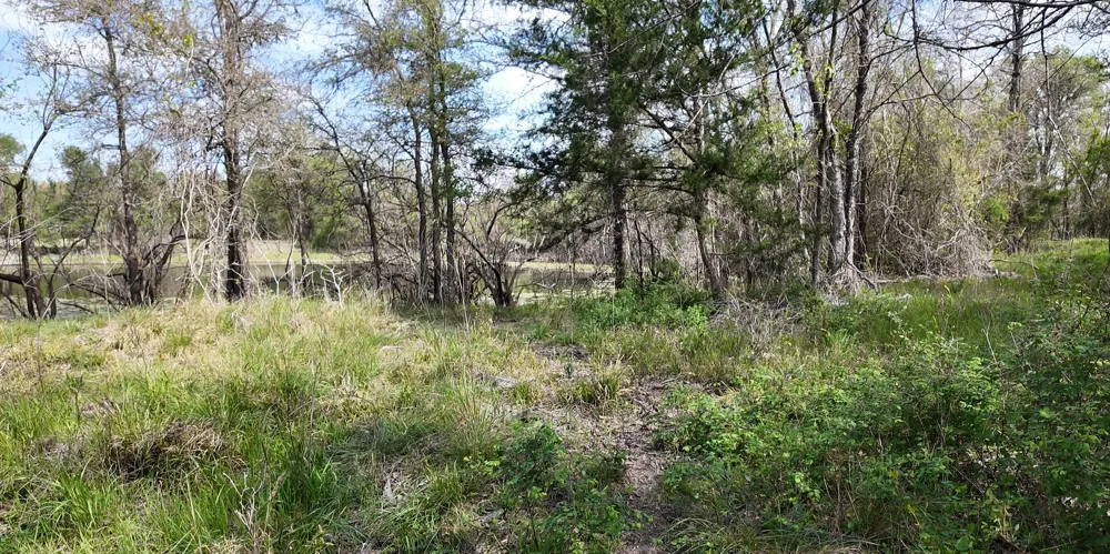 144 CR 219 Cameron, TX 76520
