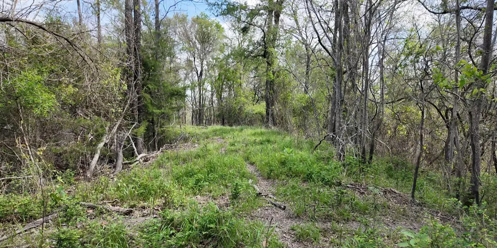 144 CR 219 Cameron, TX 76520