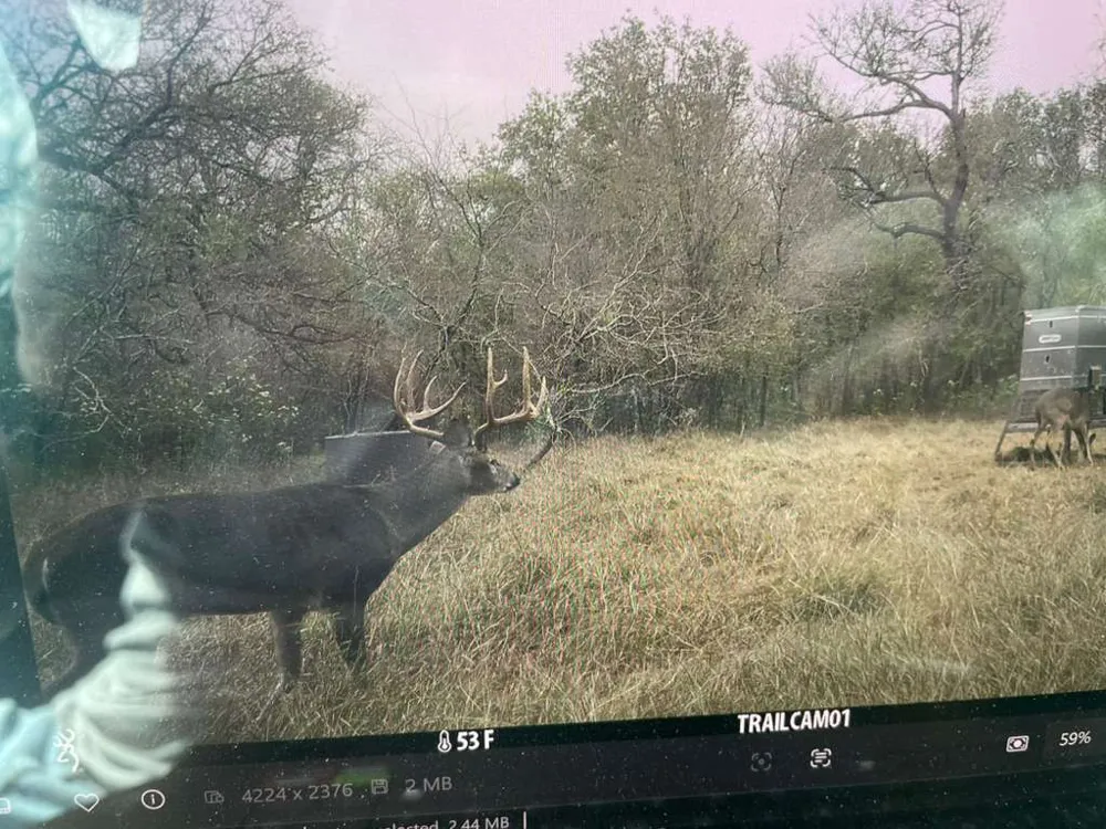 144 CR 219 Cameron, TX 76520