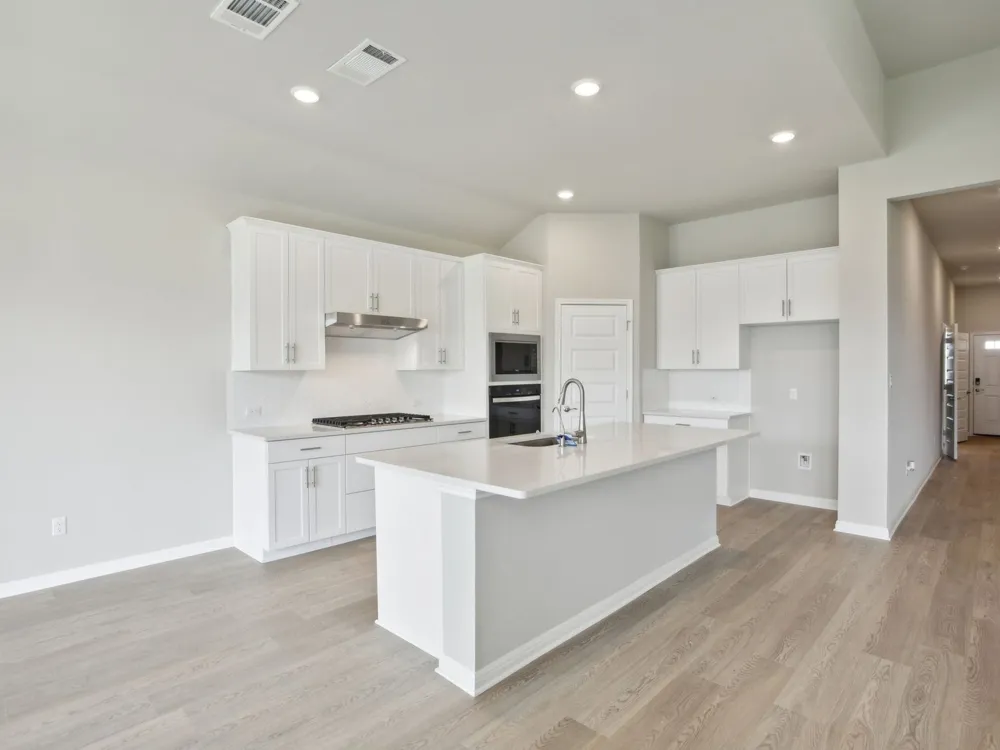 245 Bush Mountain Cove Dripping Springs, TX 78620