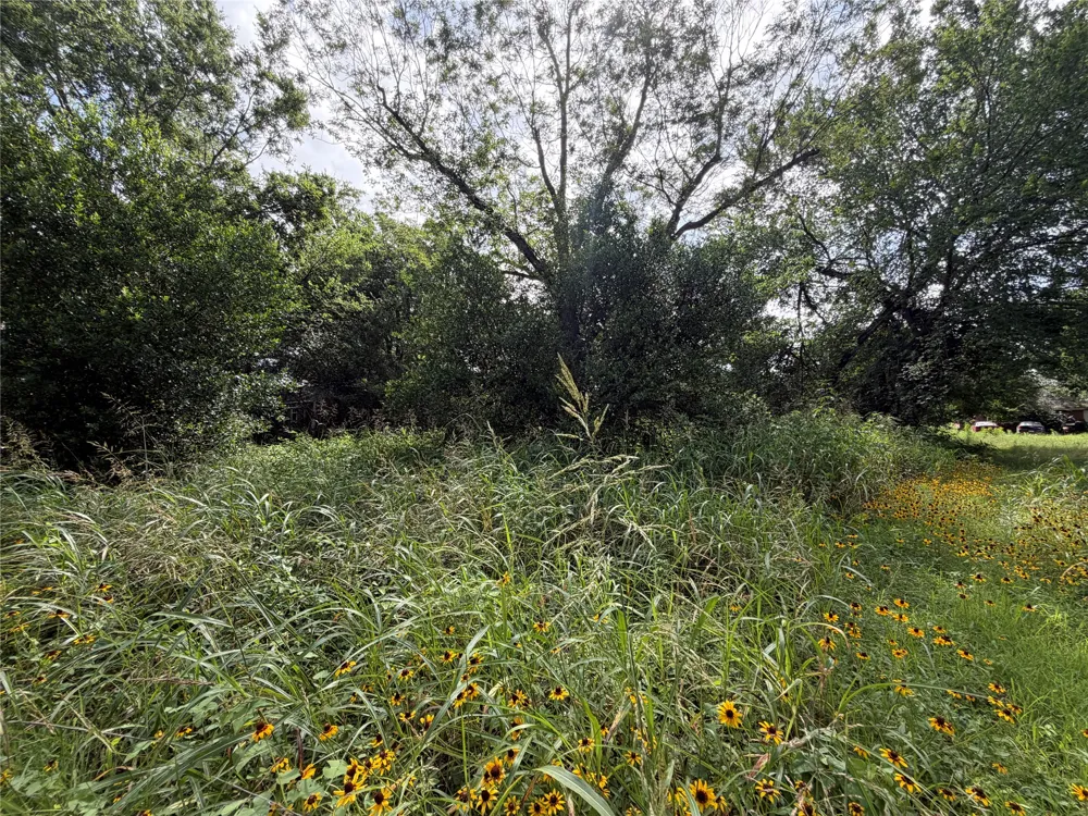 305 Ross Street Smithville, TX 78957