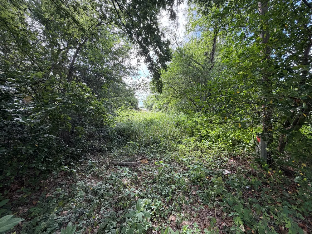 305 Ross Street Smithville, TX 78957
