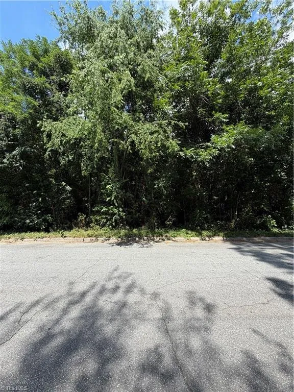 1007 Beaumont Avenue Greensboro, NC 27401
