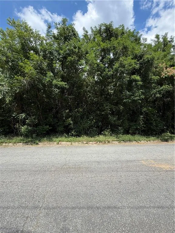 1007 Beaumont Avenue Greensboro, NC 27401