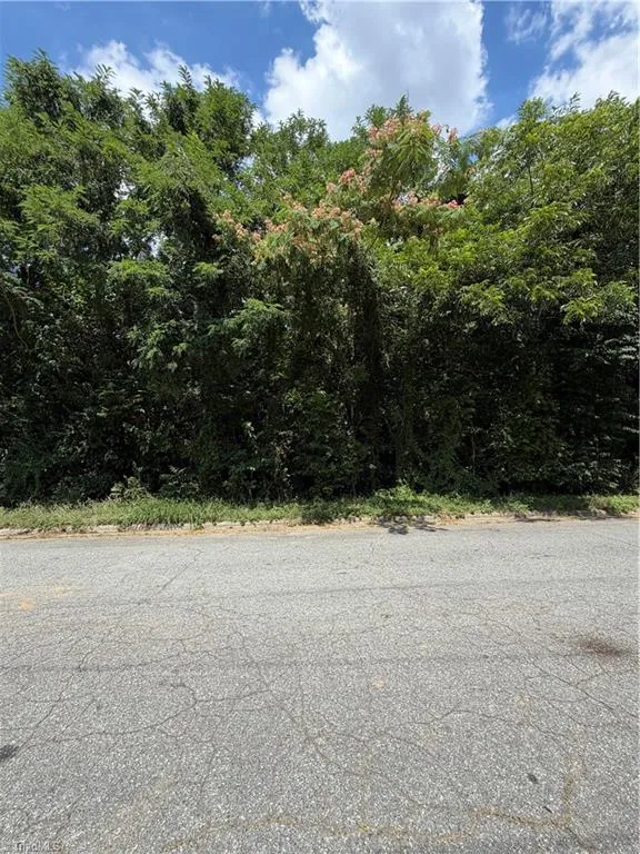 1007 Beaumont Avenue Greensboro, NC 27401