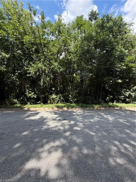 1007 Beaumont Avenue Greensboro, NC 27401