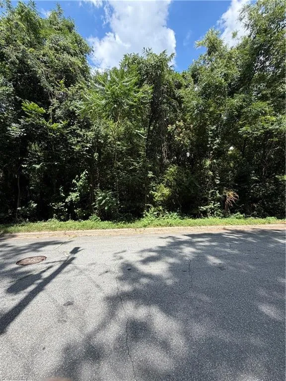 1007 Beaumont Avenue Greensboro, NC 27401