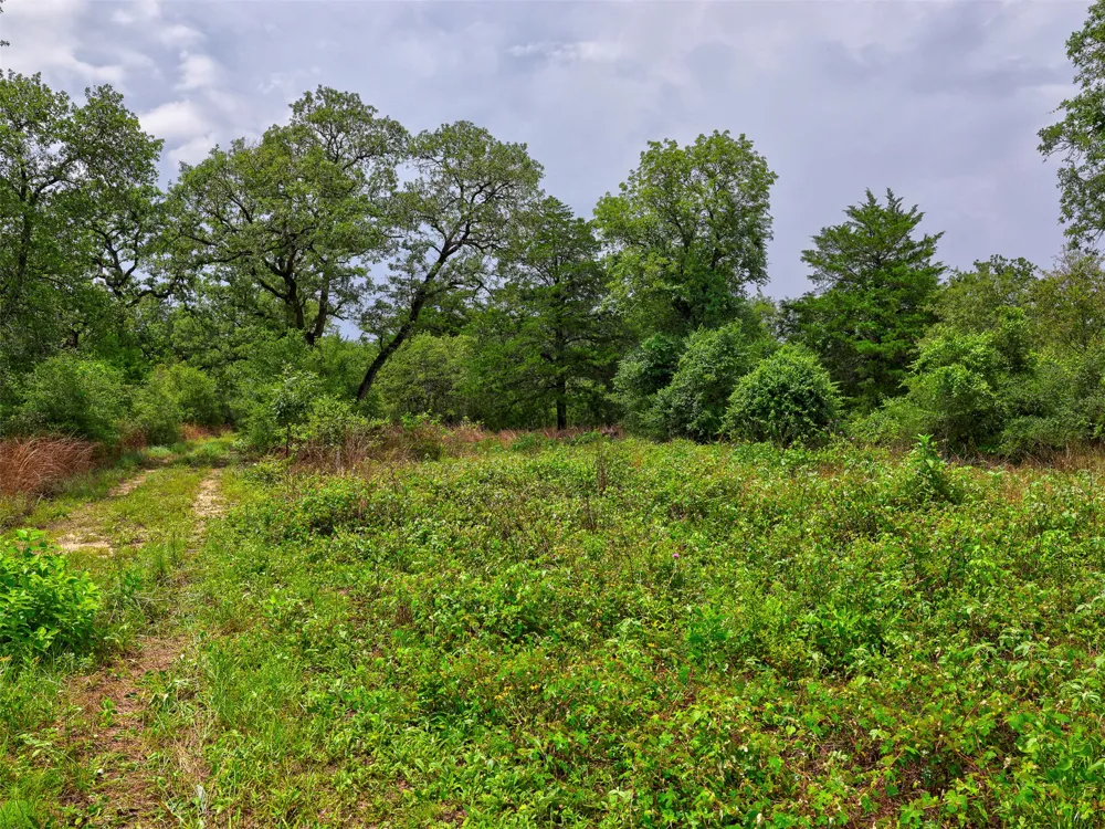 1420 CR C Lexington, TX 78947