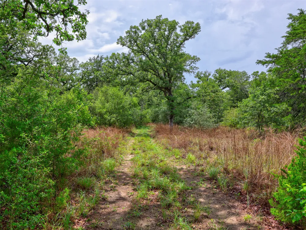 1420 CR C Lexington, TX 78947