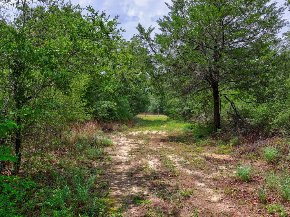 1420 CR C Lexington, TX 78947
