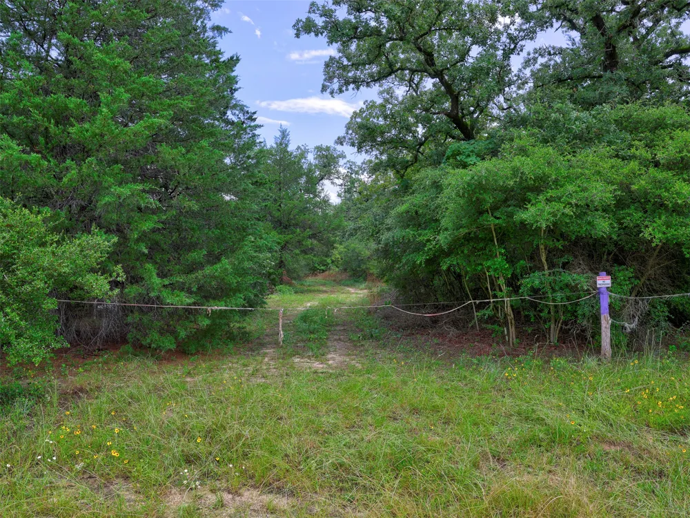 1420 CR C Lexington, TX 78947