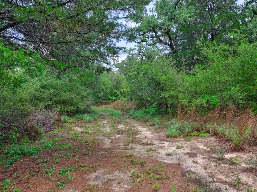 1420 CR C Lexington, TX 78947