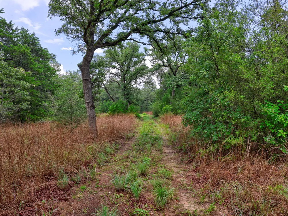 1420 CR C Lexington, TX 78947